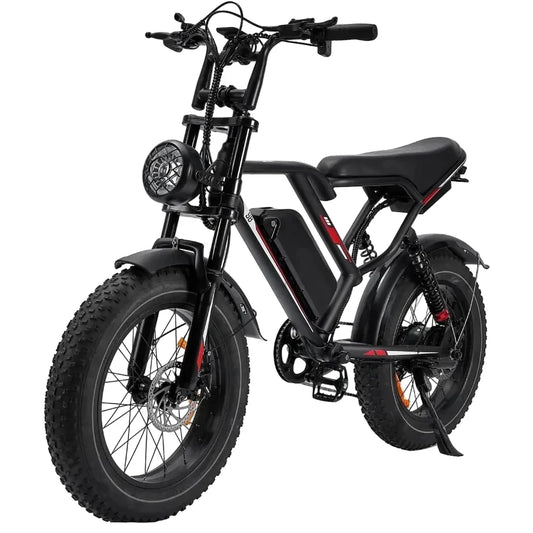 Adult Electric Bike: 1000/3000W Motor + 48V Removable Battery